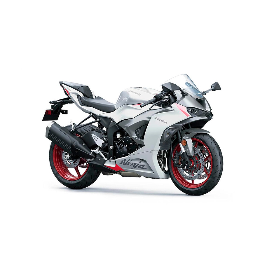 【ロ】TayNew Kawasaki Ninja ZX-6R